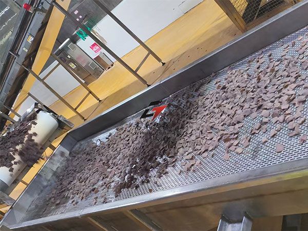 片状食品直线振动筛用户现场